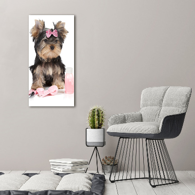 Verticale foto op glas Yorkshire cosmetica