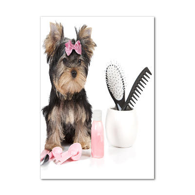 Verticale foto op glas Yorkshire cosmetica