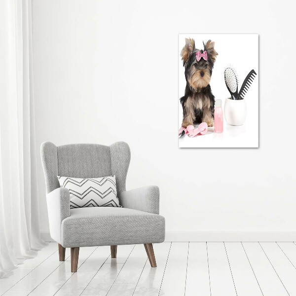 Verticale foto op glas Yorkshire cosmetica