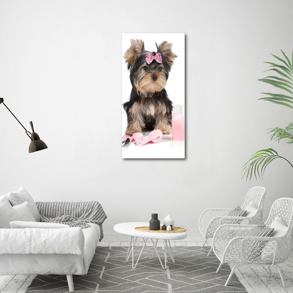 Verticale foto op glas Yorkshire cosmetica