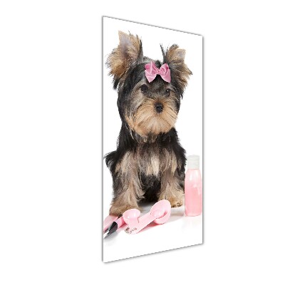 Verticale foto op glas Yorkshire cosmetica