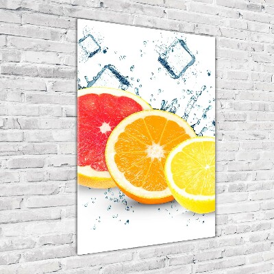 Verticaal glasschilderij Citrusvruchten