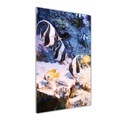 Verticaal glasschilderij Koraalrif