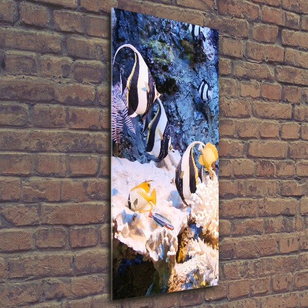 Verticaal glasschilderij Koraalrif
