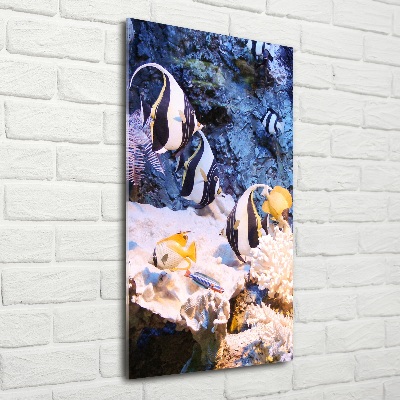 Verticaal glasschilderij Koraalrif
