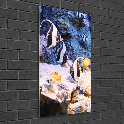 Verticaal glasschilderij Koraalrif