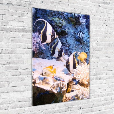 Verticaal glasschilderij Koraalrif