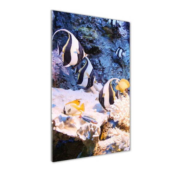 Verticaal glasschilderij Koraalrif