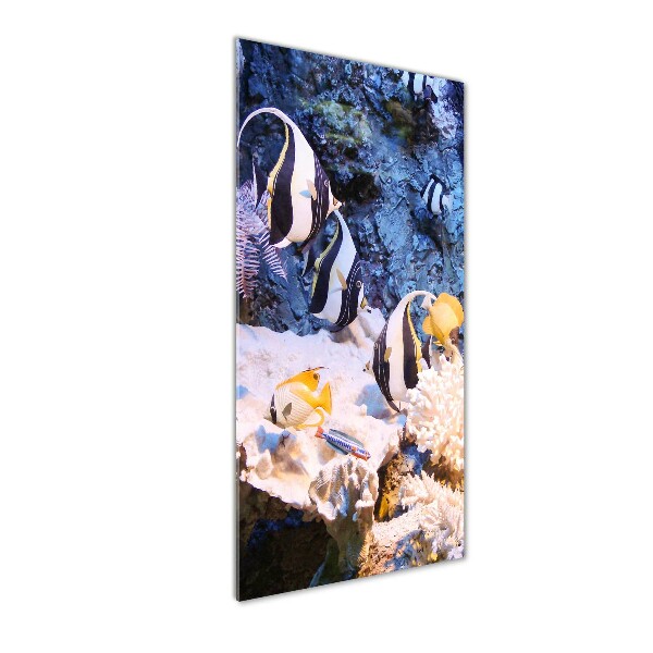 Verticaal glasschilderij Koraalrif