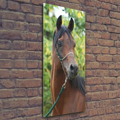 Verticale glasfoto Portret van een paard
