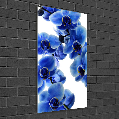 Verticale foto op glas Blauwe orchidee