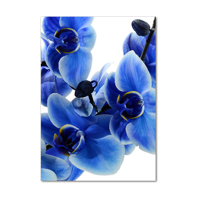 Verticale foto op glas Blauwe orchidee