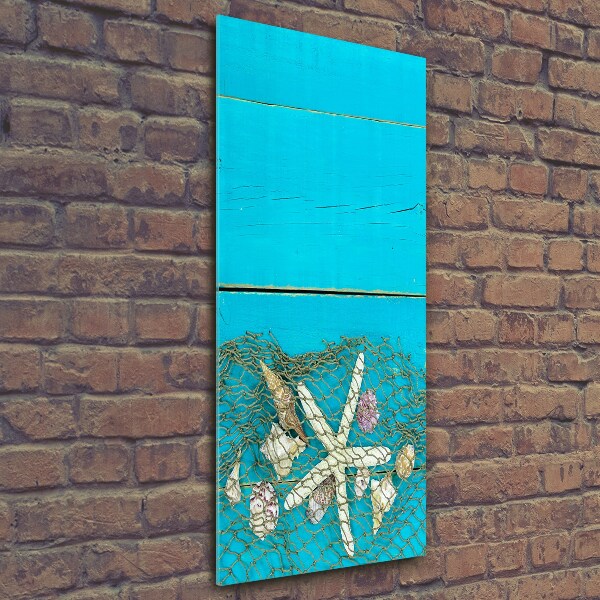 Verticale foto op glas Schelpen en zeesterren