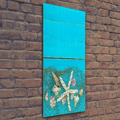 Verticale foto op glas Schelpen en zeesterren