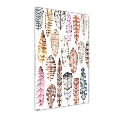 Verticale glasfoto Kleurrijke veren