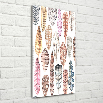 Verticale glasfoto Kleurrijke veren