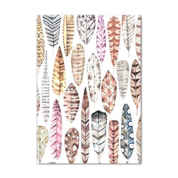 Verticale glasfoto Kleurrijke veren