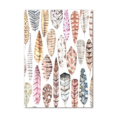 Verticale glasfoto Kleurrijke veren