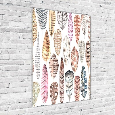 Verticale glasfoto Kleurrijke veren