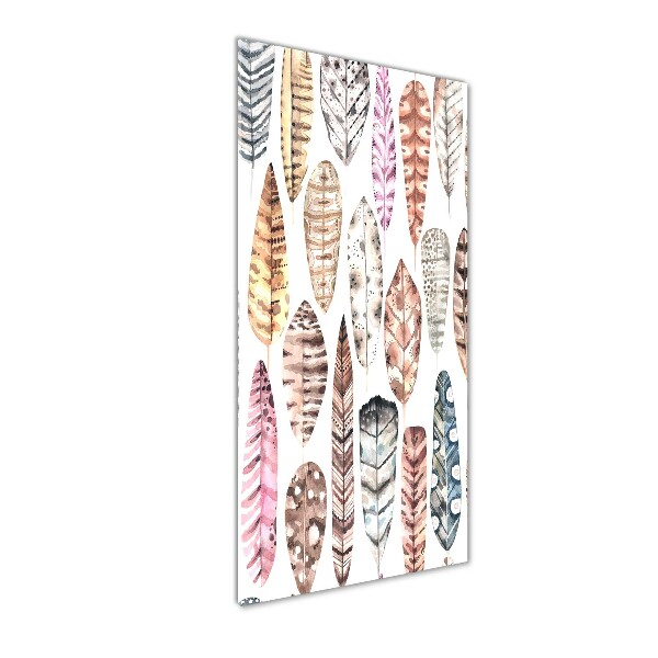 Verticale glasfoto Kleurrijke veren