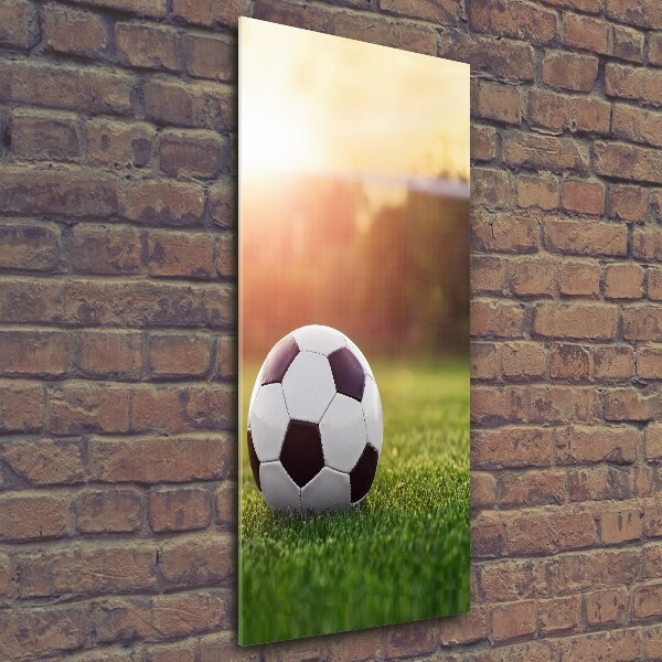 Verticale foto op glas Voetbal