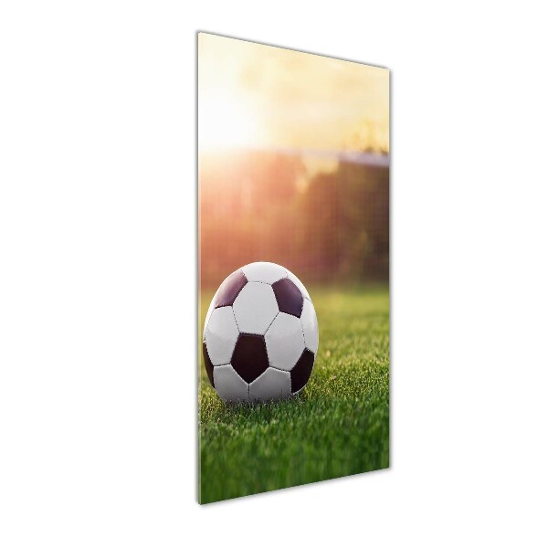 Verticale foto op glas Voetbal
