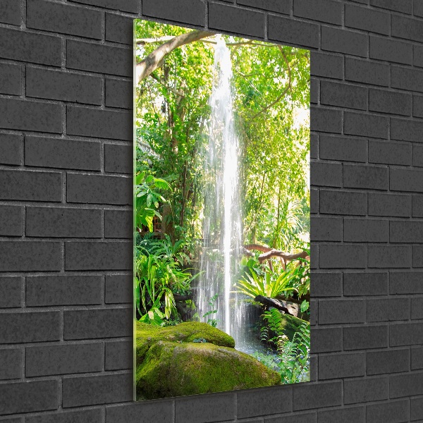 Verticale foto op glas Waterval in de jungle