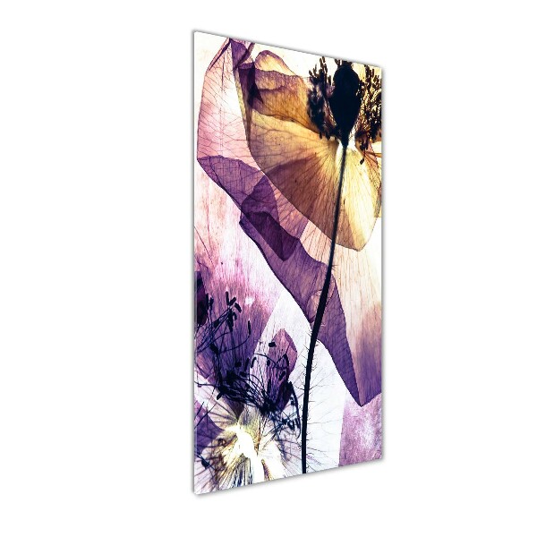 Verticale foto op glas Klaprozen