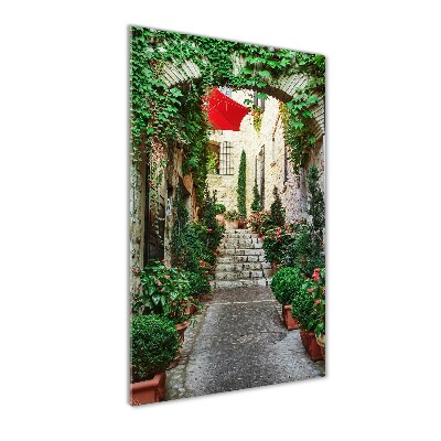 Verticale foto op glas Straten van Frankrijk