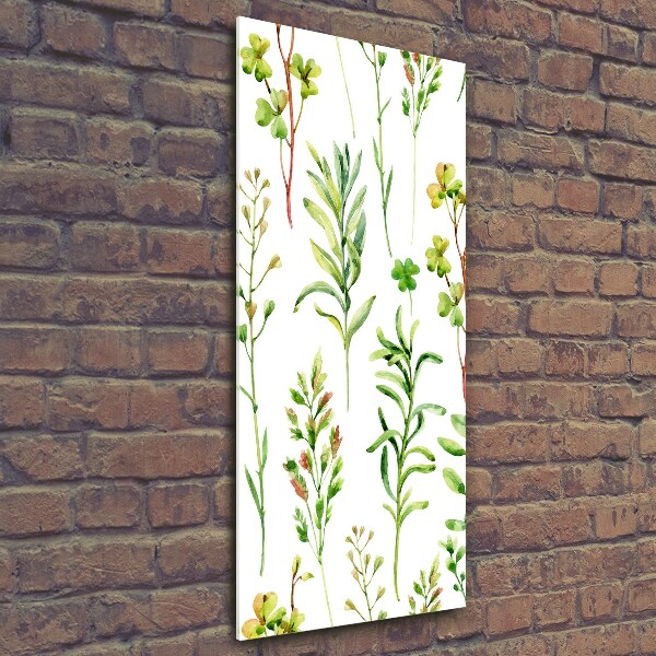 Verticale foto op glas Onkruid en kruiden