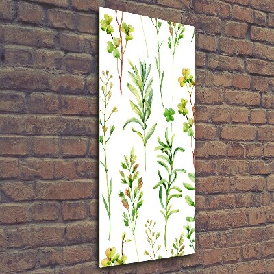 Verticale foto op glas Onkruid en kruiden