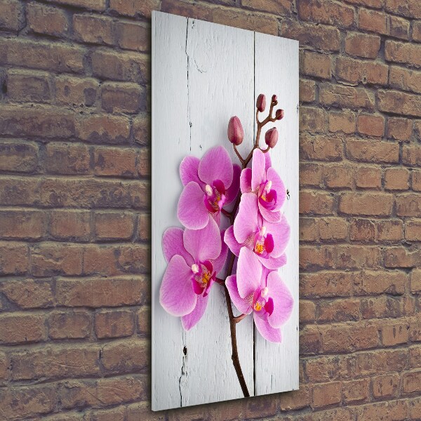 Verticale glasfoto Roze orchidee