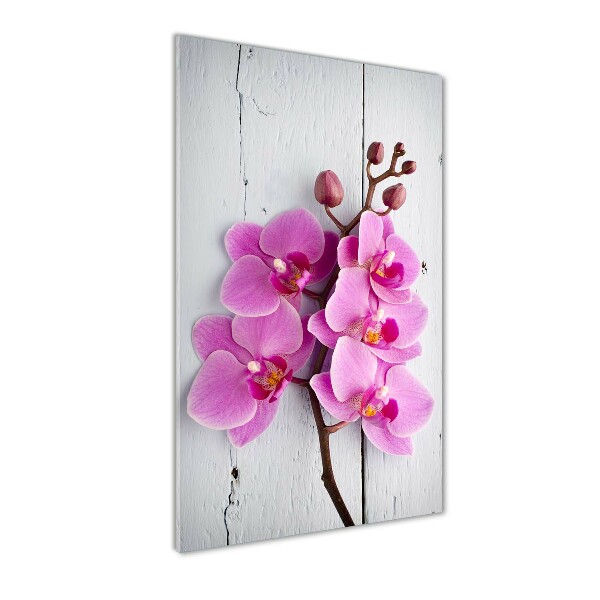 Verticale glasfoto Roze orchidee
