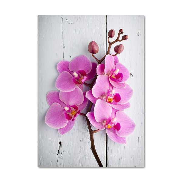 Verticale glasfoto Roze orchidee