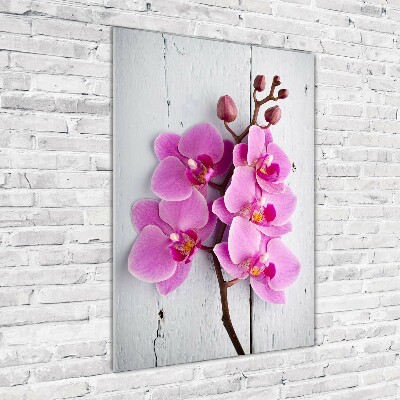 Verticale glasfoto Roze orchidee