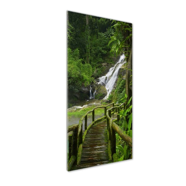 Verticale glasfoto Junglepad