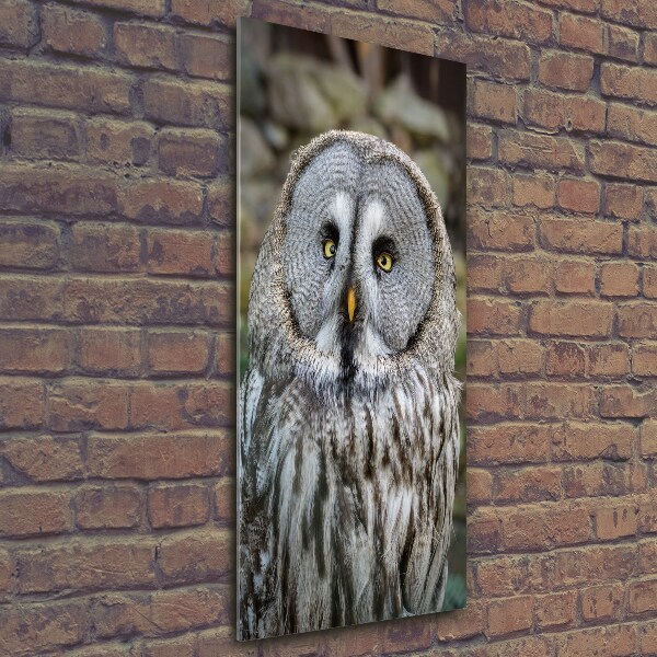 Verticale foto op glas Uil