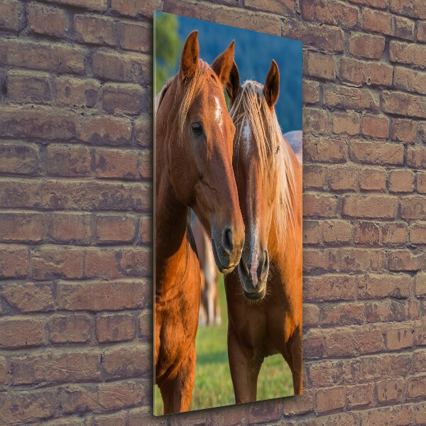Verticale glasfoto Twee paarden
