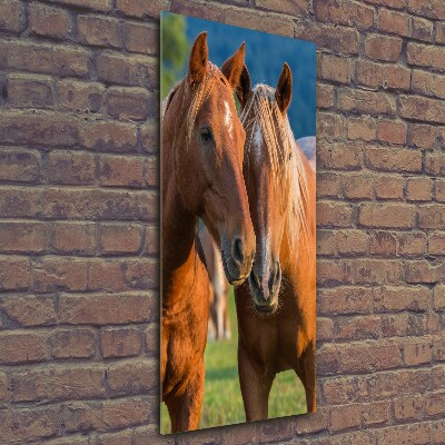 Verticale glasfoto Twee paarden