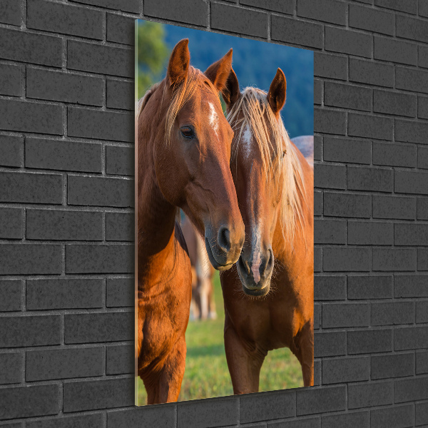 Verticale glasfoto Twee paarden