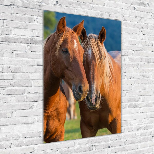 Verticale glasfoto Twee paarden