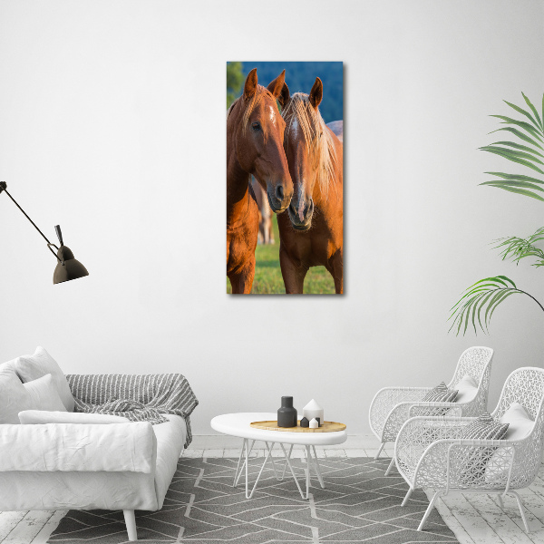 Verticale glasfoto Twee paarden