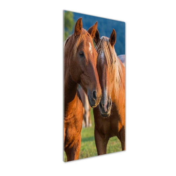 Verticale glasfoto Twee paarden