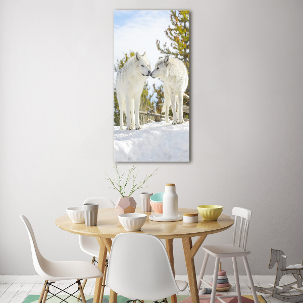 Verticale foto op glas Twee witte wolven