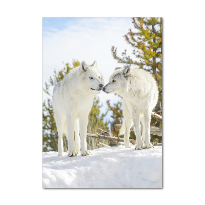 Verticale foto op glas Twee witte wolven