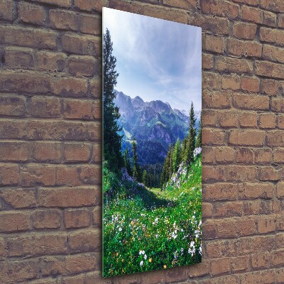 Verticale glasfoto Alpen