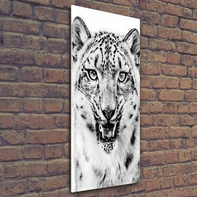 Verticale foto op glas Sneeuwluipaard