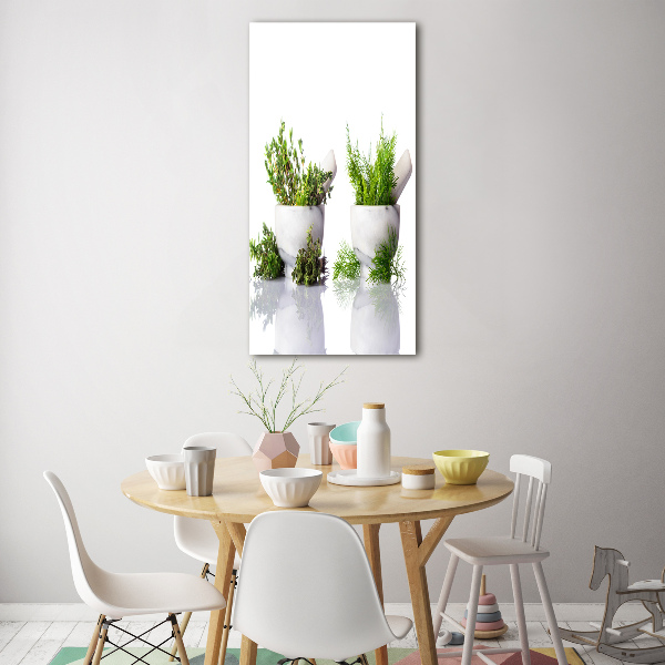 Verticale foto op glas Vijzels en kruiden