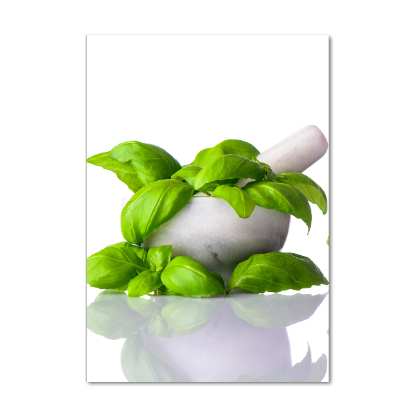 Verticale foto op glas Vijzels en kruiden