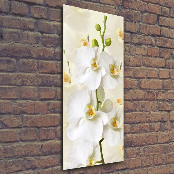 Verticale glasfoto Witte orchidee